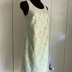 Banana Republic Light Green Shift Size 0